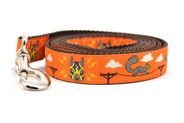 Lucha Squirrels - Sparky - Dog Leashes