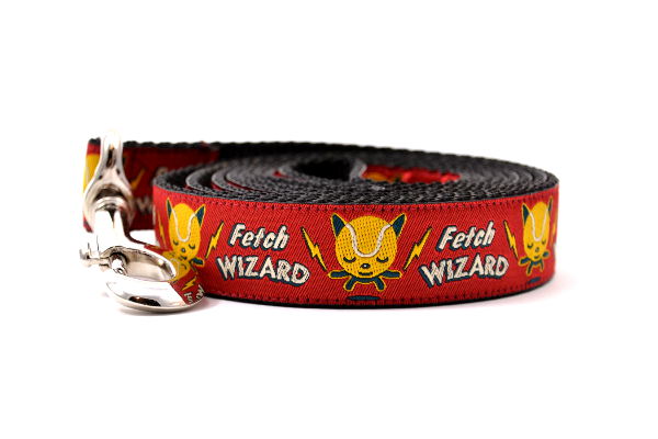 Fetch Wizard Dog Leashes